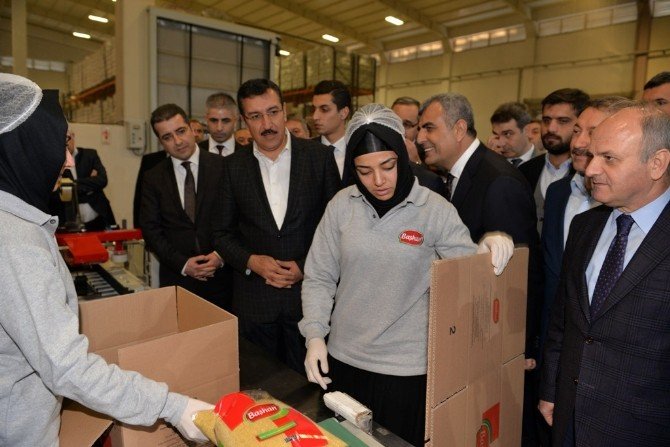 Bakan Tüfenkci, Antrepolarda İncelemelerde Bulundu