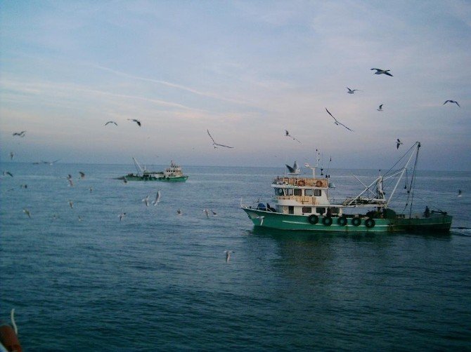 Marmara Denizi’nde Trol Yeniden Hortladı