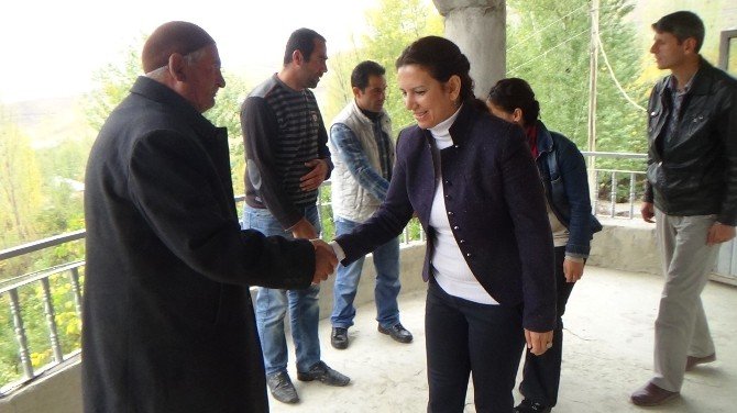 Hdp’li Irmak’tan Demir Ailesine Taziye Ziyareti