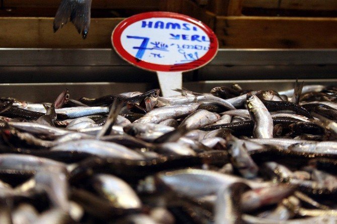 Balık Tezgahları Ucuz Hamsi İle Şenlendi