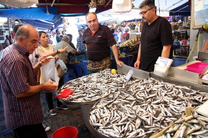 Pazar’da Hamsi Bereketi