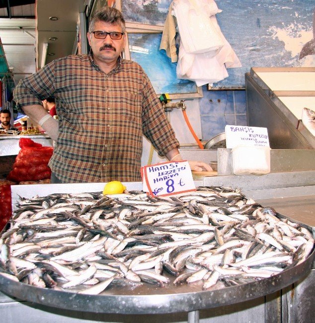 Hamsi Cep Yakıyor