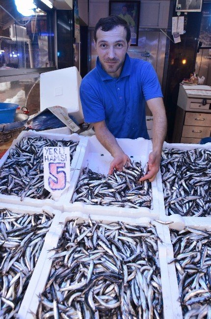 Hamsi Kalp Krizine Karşı Koruyor