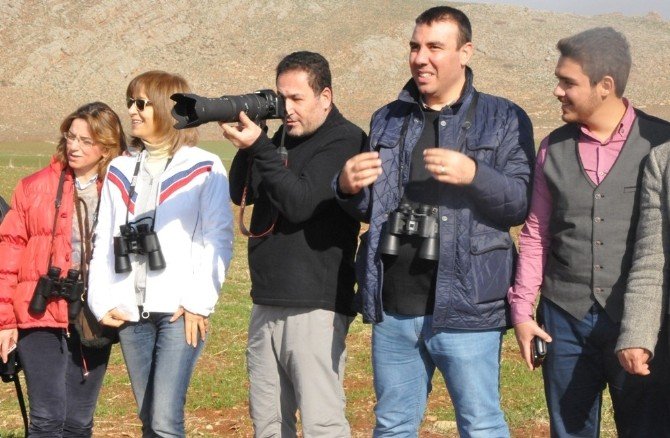 Dağ Ceylanları Dünyaya Tanıtılacak
