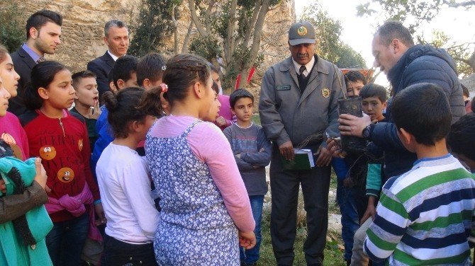 Yanan Orman Alanlarına Ceviz Fidanı Dikiliyor