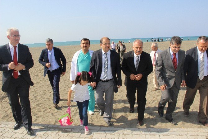 Tedavi Edilen Kaplumbağalar Denizle Buluştu