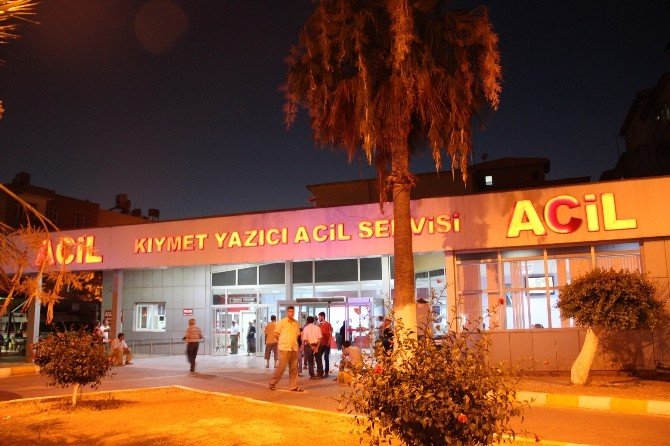 İskenderun’da Kuş Gribi Paniği