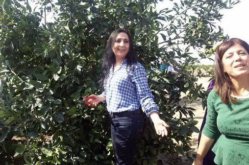 Hdp Eş Genel Başkanı Yüksekdağ Tarım İşçileriyle Buluştu