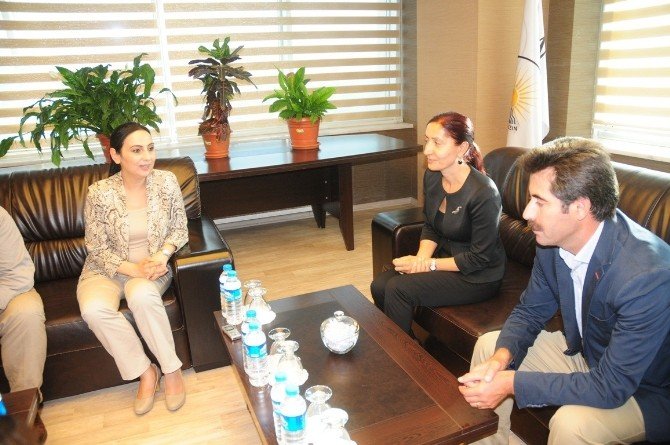 Hdp Ve Dbp Eş Genel Başkanları Van’da