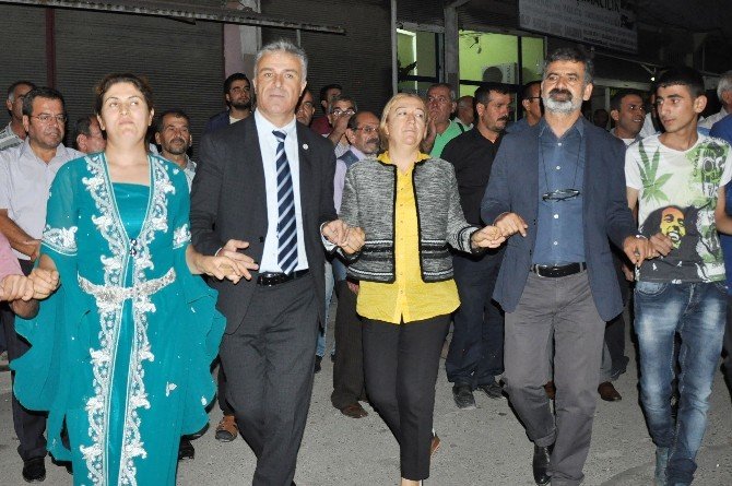 Hdp’li Aday’dan Demokratik Anayasa Talebi
