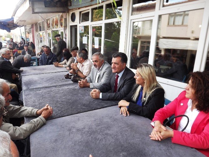 Hdp Malatya Milletvekili Adayı Aydın Erdoğan: