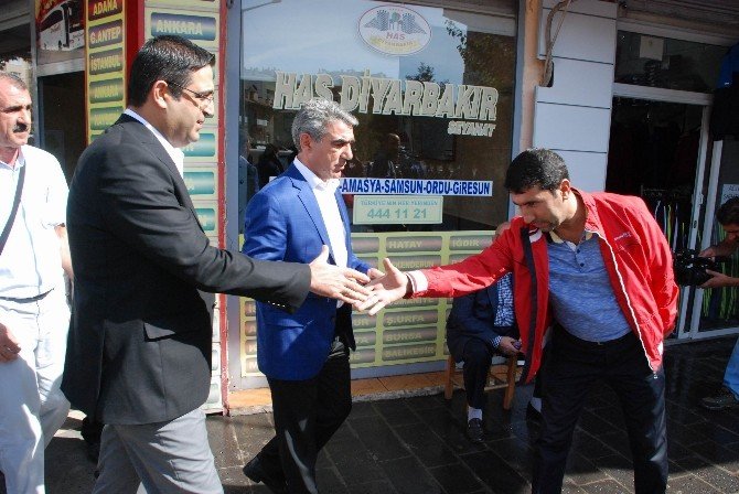 Hdp’den Yeni Seçim Çalışması