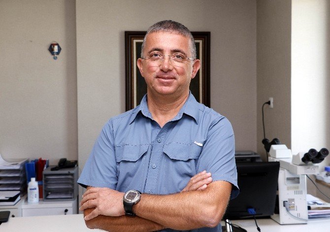 Lenfoma Kanseri En Çok Tarım İşçilerini Vuruyor