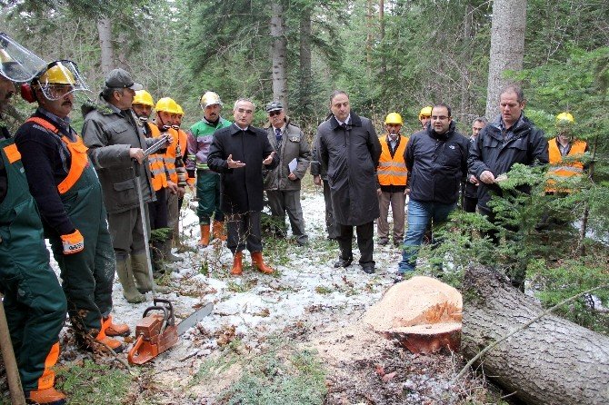 Kastamonu Orman Bölge Müdürü Hüseyin Dinçer:
