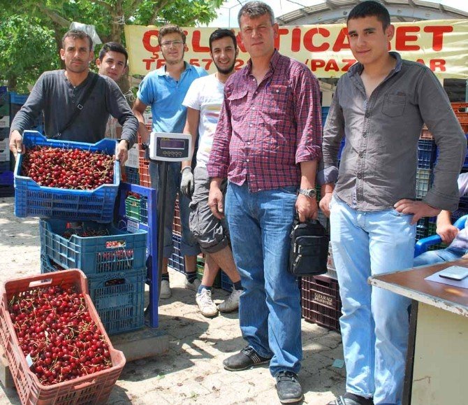Organik Kiraz Üreticinin Yüzünü Güldürdü