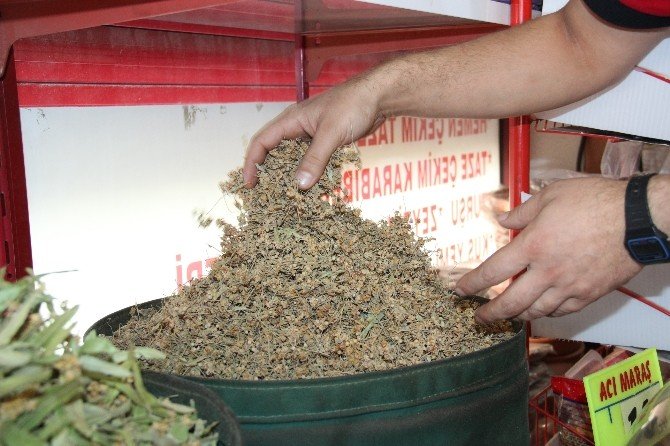 Ihlamur İçmek Lüks Oldu