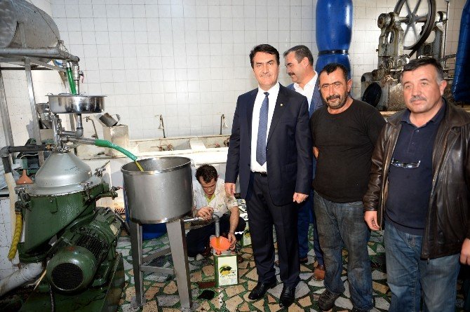 Osmangazi’den Zeytin Yağı Üreticisine Destek