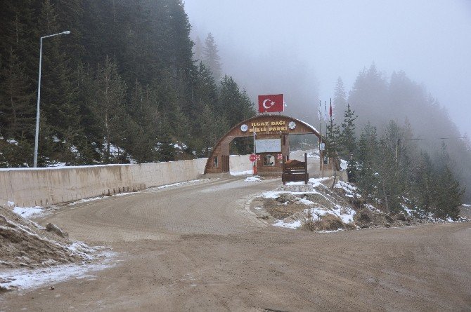 Ilgaz Dağı Sezona Hazırlandı