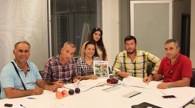 Yerli Türk Erik Cemre Dünya Pazarında