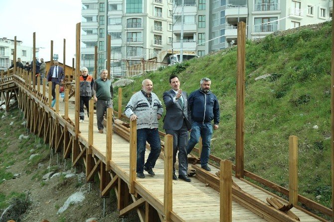 Ahşap Yürüyüş Yolunda Sona Gelindi