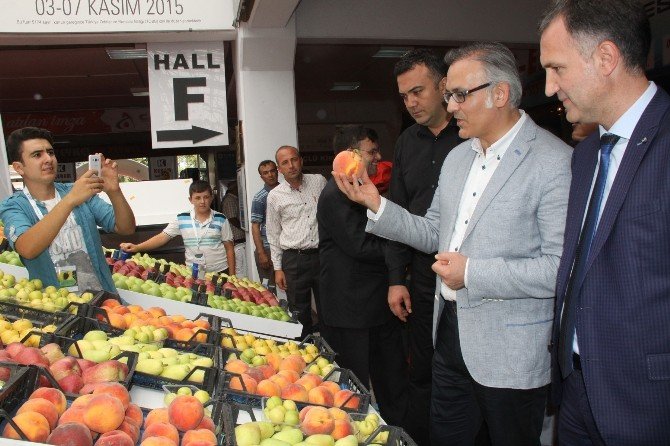 İnegöl Tarım Fuarı Kapılarını Açtı