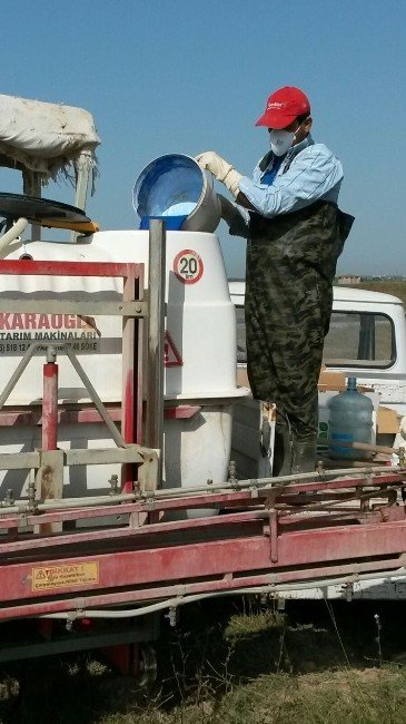 Manavgatlı Üreticilerden Uluslararası Standartta Pamuk