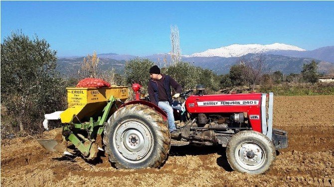 Patateste Üreticinin Umudu Bahara Kaldı