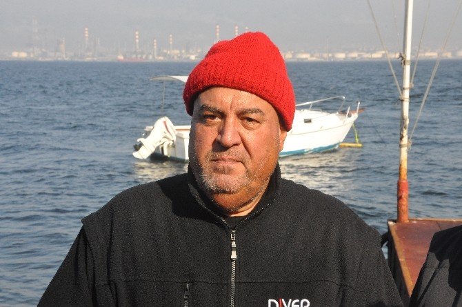 İzmit Körfezi’ndeki Balık Ölümleri