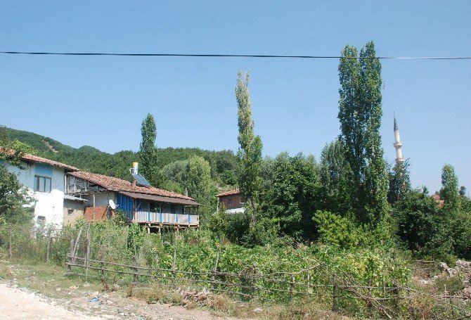 Tokat 5 Gün İçinde İkinci Şehit Acısını Yaşıyor