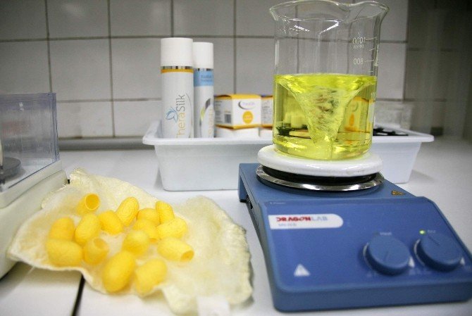 Doğal Peelingde Altın Koza Dönemi