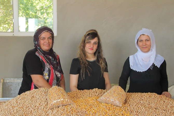 Kadın Patron, 2 Kadın İşçisi İle Birlikte Leblebi Fabrikası Açtı