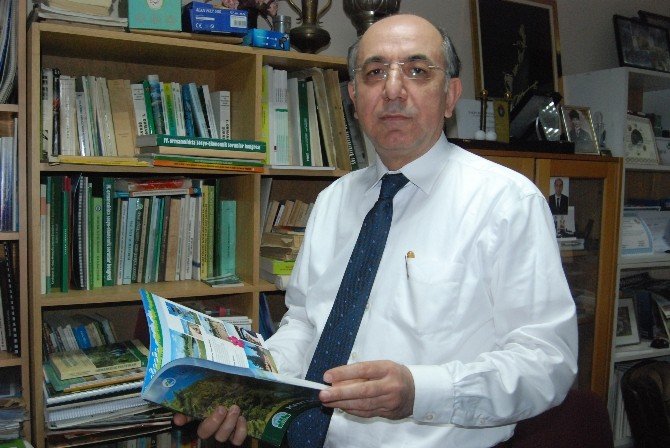 Türkiye’deki Ormanların Ekonomik Değeri Araştırıldı