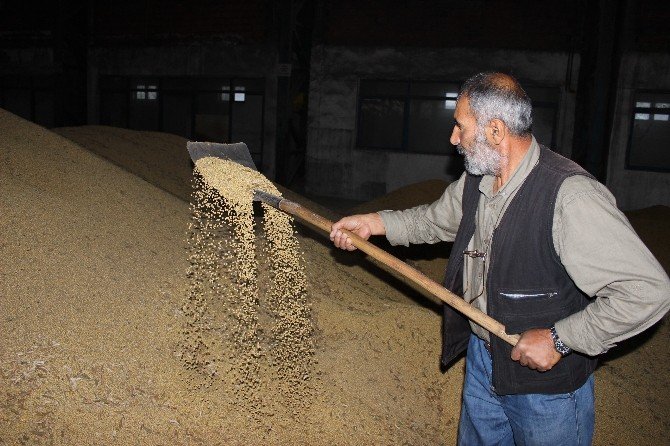 2 Milyon Tonluk Soya İthalatına Bakanlık El Attı