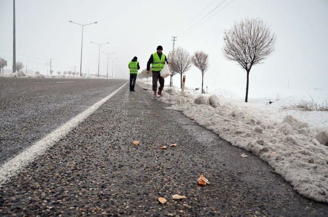 Belediye Aç Kalan Kuşlara Yem Bıraktı