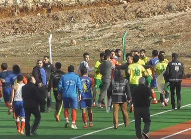 Yeşil Saha Ringe Döndü