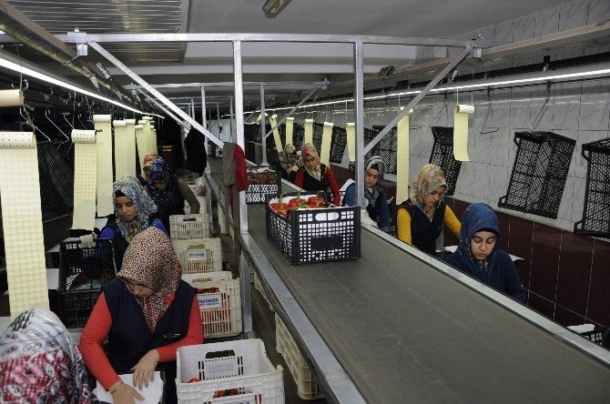 Antalya,turizmden Sonra Tarımda Da Ümidini Irak Ve Suudi Arabistan’a Bağladı