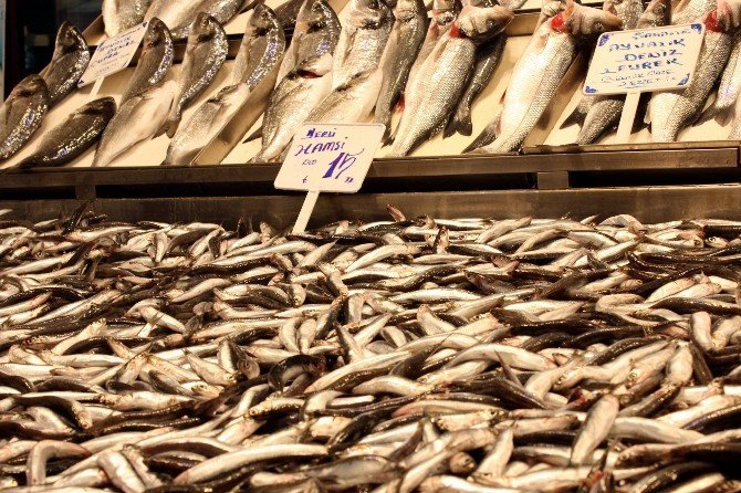 Balığın Kulağına Kar Suyu Kaçtı, Fiyatlar Fırladı