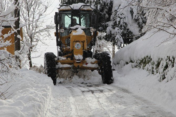 Giresun Merkez’de Kar İle Mücadele Devam Ediyor