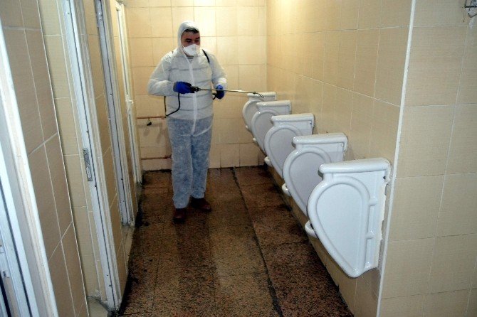 Karabük’te Domuz Gribi Önlemleri
