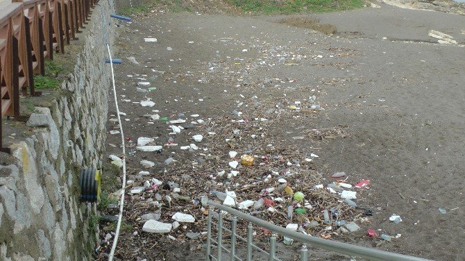 Karadeniz Sahilleri Çöple Doldu