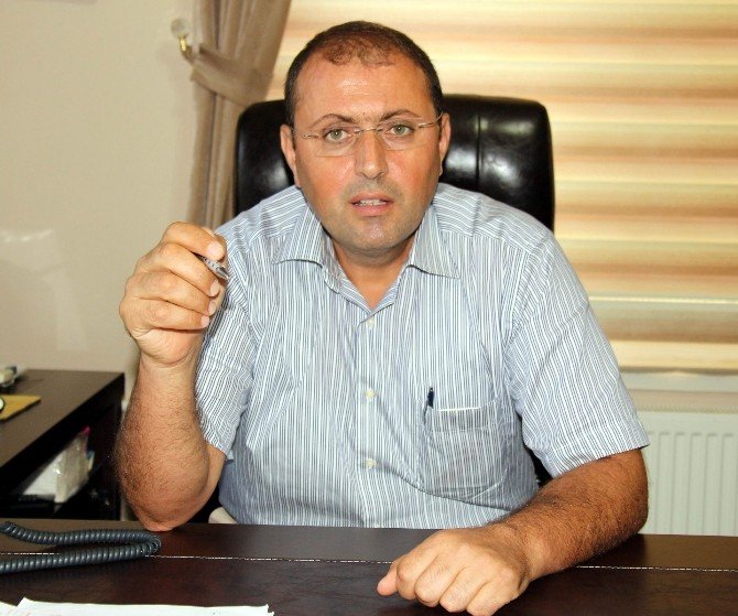 Karadeniz’de Yaşanan ’Vampir Kelebek’ Tartışmasına Son Nokta