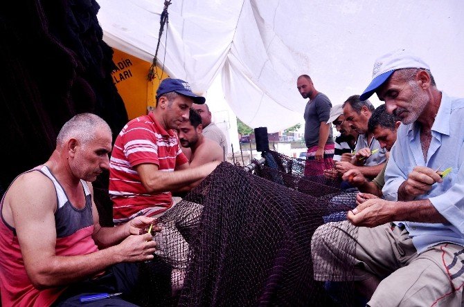 Karadeniz’de ’Umut Ağları’ Örülmeye Başlandı