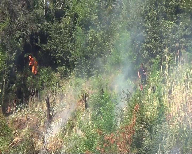 Zonguldak’ta Çıkan Yangın Korkuttu