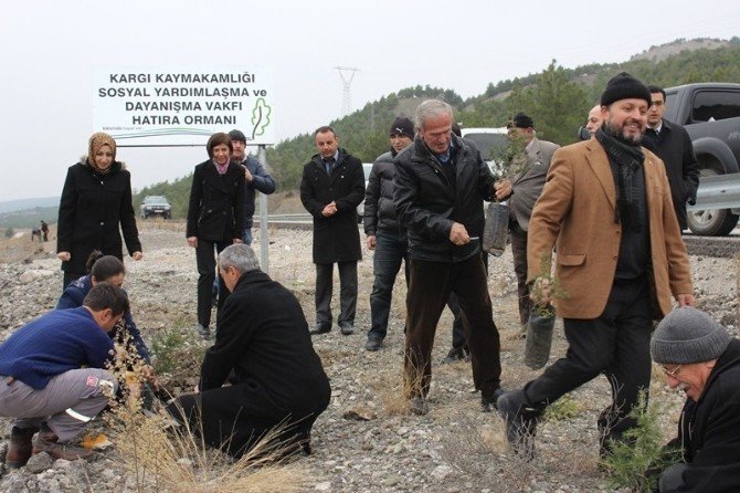 Kargı Sosyal Yardımlaşma Vakfı’ndan Hatıra Ormanı
