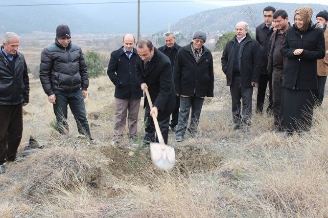 Kargı Sosyal Yardımlaşma Vakfı’ndan Hatıra Ormanı