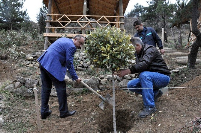 Kastamonu Belediye Başkanı Tahsin Babaş,