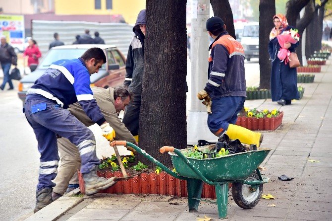 Kastamonu Belediye Başkanı Tahsin Babaş,