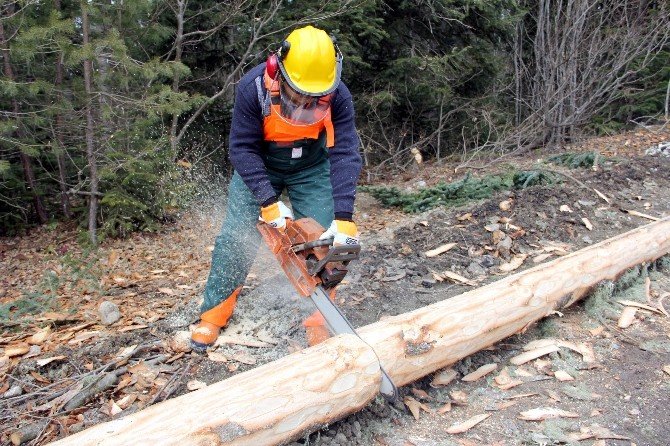 Kastamonu Orman Bölge Müdürü Hüseyin Dinçer: