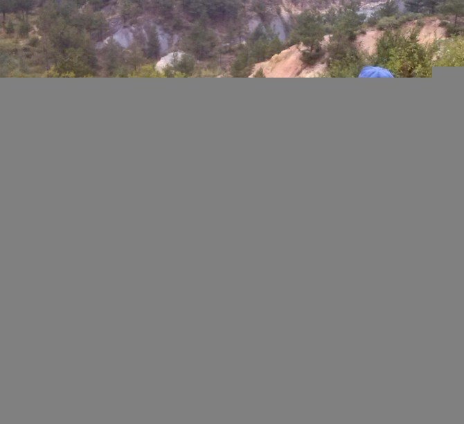 Kastamonu’da Aç Kalan Kurtlar Eşeği Parçaladı