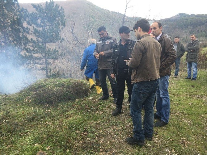 Kastamonu’da Orman Yangını